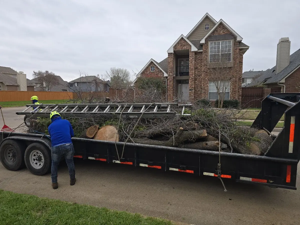 Expert Tree Fertilization with proper safety equipment in Remsen